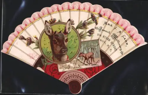 Sammelbild Troy, NY, Mrs. J. A. Carr, French Millinery, Fächer mit Portrait einer Hirschkuh