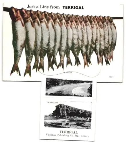 Leporello-AK Terrigal, The Skillion, The Lake, Beach