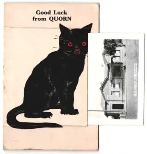 Leporello-AK Quorn, Pavilion, High School, Devils Peak