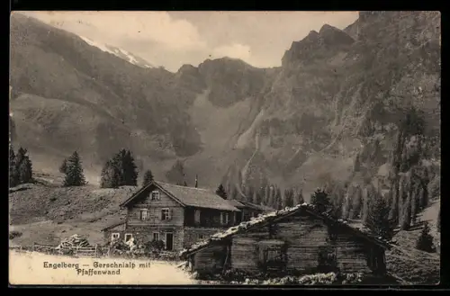 AK Engelberg, Gerschnialp mit Pfaffenwand