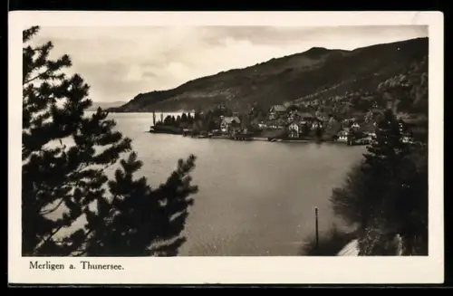 AK Merligen a. Thunersee, Blick auf Dorf und See