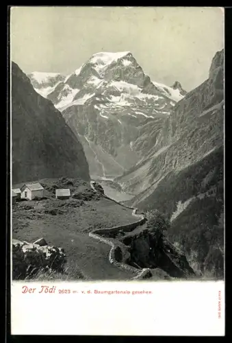 AK Linthal, Baumgartenalp mit Blick zum Tödi