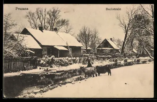AK Pruzana, Bachstrasse