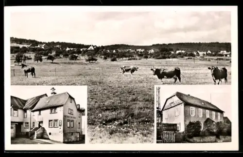 AK Rod am Berg /Taunus, Gasthaus z. Taunus, Jugendheim, Ortsansicht mit Viehweide
