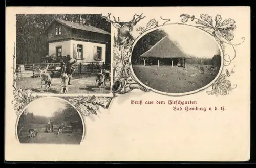AK Bad Homburg v. d. H., Hirschgarten, Forsthaus, Pavillon, Wildgehege