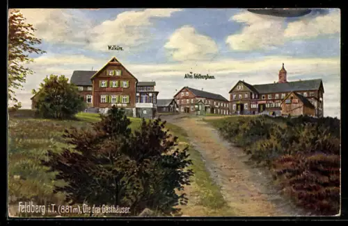 AK Feldberg i. T., Gasthaus Walküre, Altes Feldberghaus, drei Gasthäuser