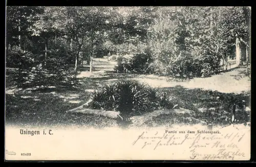 AK Usingen i. T., Partie aus dem Schlosspark