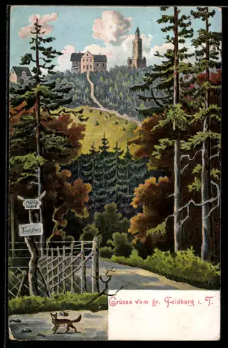 AK Grosser Feldberg i. T., Aussichtsturm, Hotel Wald, Fuchstanz