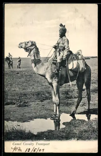 AK India, Camel Cavalry Transport