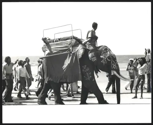 Fotografie Boxer Muhammad Ali liegt auf einem Elefanten, Grossformat 25 x 21cm