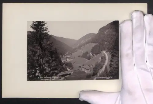 Fotografie Joh. Eichlepp, Freiburg i. B., Ansicht Höllsteig i. Höllenthal, Ortsansicht mit Eisenbahntunnel, 16 x 25cm