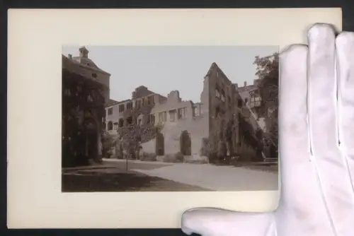 Fotografie unbekannter Fotograf, Ansicht Heidelberg, Die Ruine des Schlosses, Grossformat 16 x 25cm