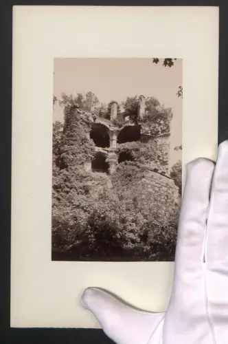 Fotografie unbekannter Fotograf, Ansicht Heidelberg, Überwucherte Schlossruine, Grossformat 16 x 25cm