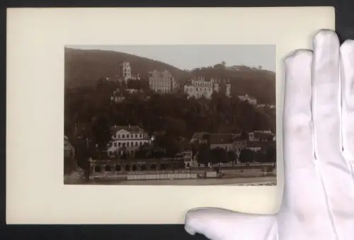 Fotografie unbekannter Fotograf, Ansicht Heidelberg, Blick zum Schloss vom Wasser aus, Grossformat 16 x 25cm