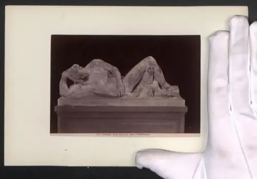 Fotografie unbekannter Fotograf, Ansicht Firenze, Adone di Michelangelo, Museo Nazionale, Grossformat 16 x 25cm