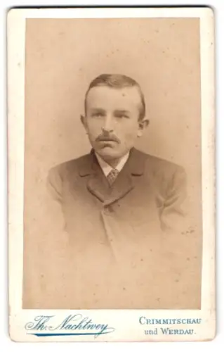 Fotografie Th. Nachtwey, Crimmitschau, Thiemestrasse, Porträt eines Herrn im Anzug