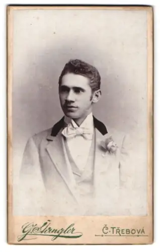 Fotografie G. Stangler, C. Trebová, Junger Mann im Anzug mit Blume