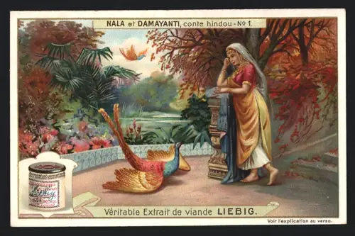 6 Sammelbilder Liebig, Serie Nr. 941: Nala et Damayanti, conte hindou, verschiedene Szenen