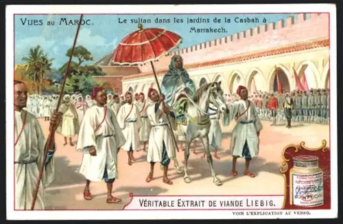 6 Sammelbilder Liebig, Serie Nr. 854: Ansichten aus Marocco, Port de Tanger, Marché a Rabat, Marrakech