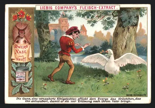 6 Sammelbilder Liebig, Serie Nr. 415: Zwerg Nase nach Hauff, Verschiedene Szenen