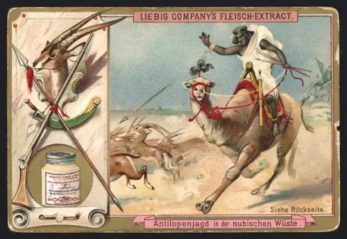 6 Sammelbilder Liebig, Serie Nr. 438: Hirschjagd in Schottland, Wolfshatz in Ungarn, Tigerjagd in Indien, Eisbärenjagd