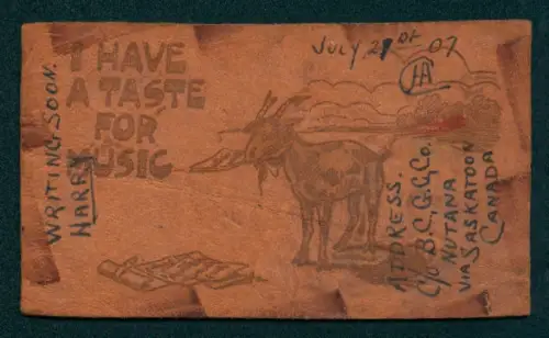 Leder-AK Ziege verspeist Notenblätter, I have a taste for music