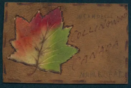 Leder-AK Collingwood, Ahornblatt mit unterschiedlichen Farbakzenten