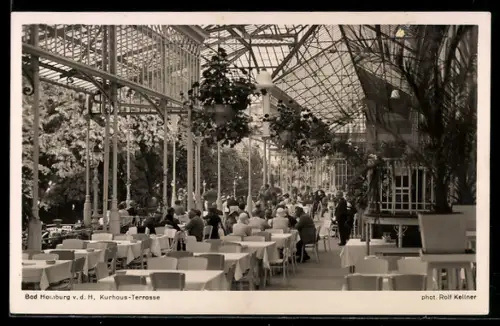 AK Bad Homburg v. d. H., Cafe Kurhaus-Terrasse