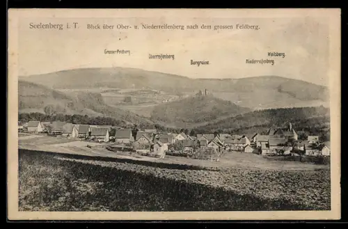 AK Seelenberg i. T., Blick über Ober- u. Niederreifenberg nach dem grossen Feldberg, Burgruine und Weilsberg