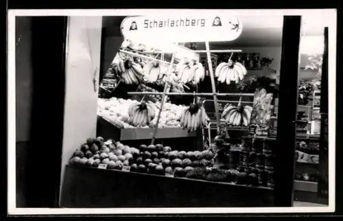 Foto-AK Schaufenster vom Obsthandel Scharlachberg