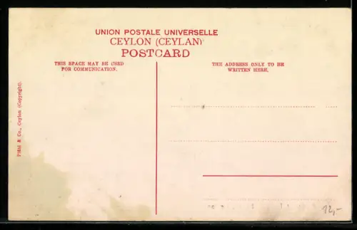 AK Kandy, Buddhist Temple