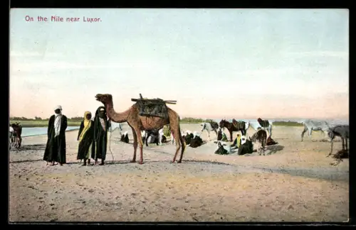 AK Luxor, On the Nile