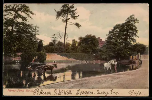 AK Ewell, Horse Pond