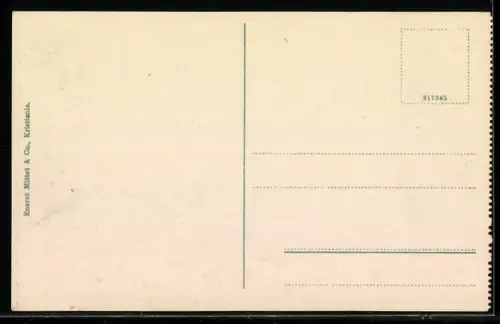 AK Romsdalshorn, Romsdal, Bergpanorama mit Tal und Häusern