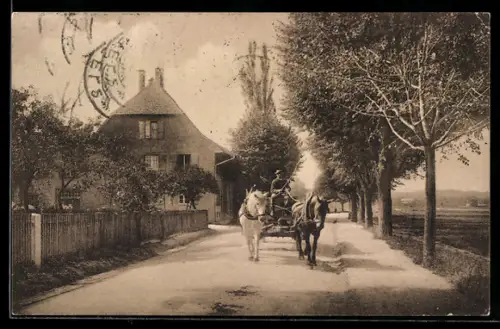 AK Basel, Partie an der Schützenmattstrasse