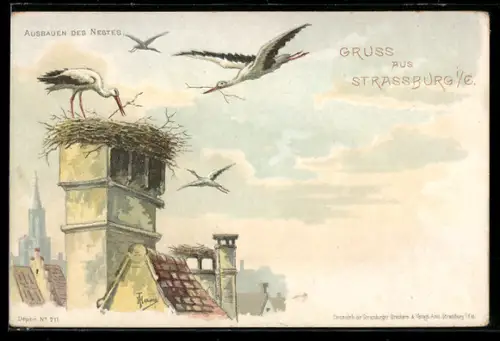 Lithographie Strassburg i. E., Störche beim Ausbauen des Nestes auf einem Schornstein