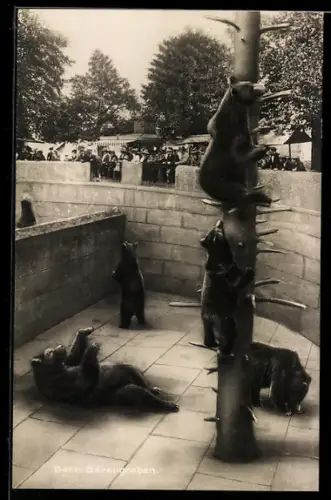 AK Bern, Bären im Bärengraben, davor Besucher