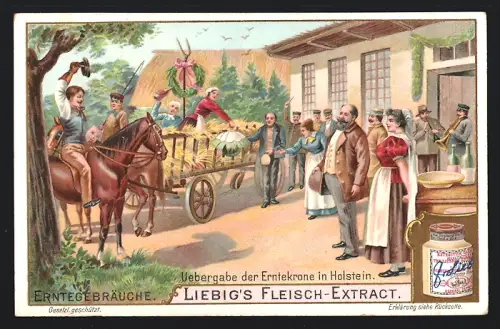 6 Sammelbilder Liebig, Serie Nr. 800: Erntegebräuche, Tanz der Dadola, Binden in Schlesien, Übergabe der Erntekrone