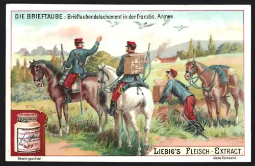 6 Sammelbilder Liebig, Serie Nr. 708: Die Brieftaube, Flug vom Ballon, Anbringen der Depeschen, Brieftaubendetachement