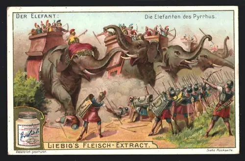 6 Sammelbilder Liebig, Serie Nr. 701: Der Elefant, Indisches Theater, Elefant als Briefbote, Auf der Jagd, Als Zugtier