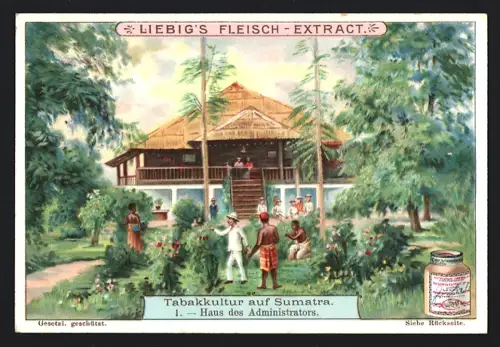 6 Sammelbilder Liebig, Serie Nr. 715: Tabakkultur auf Sumatra, Junge Tabakpflanzen, Dorf der Eingeborenen, Verladung