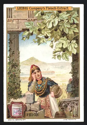 6 Sammelbilder Liebig, Serie Nr. 630: Früchte und Beeren, Ananas, Wassermelone, Weintrauben, Feigen