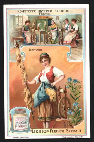 6 Sammelbilder Liebig, Serie Nr. 900: Rohstoffe unserer Kleidung, Pelz, Baumwolle, Seide, Leder, Wolle, Flachs