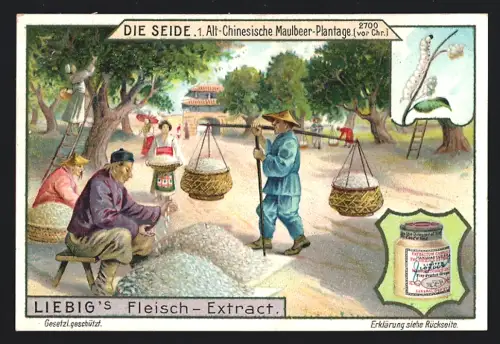 6 Sammelbilder Liebig, Serie Nr. 912: Die Seide, Florentiner Seidenhaspel, Coconmarkt in Indien, Maulbeer-Plantage
