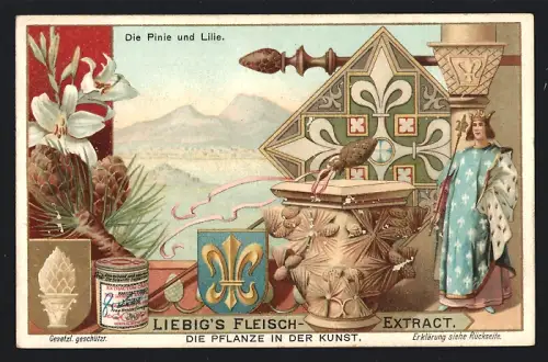 Sammelbild Liebig, Die Pflanze in der Kunst, Die Pinie und Lilie