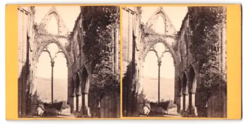 Stereo-Fotografie Alexander Wilson, Leamington, Ansicht Tintern, Tintern Abbey, The Choir