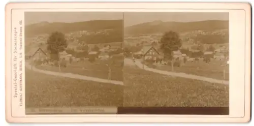 Stereo-Fotografie Clemenz Kauffmann, Berlin, Ansicht Weissbachtal, Ortansicht von der Feldflur aus
