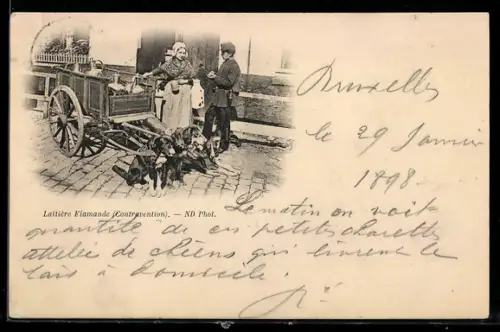 AK Laitière Flamande, Contravention