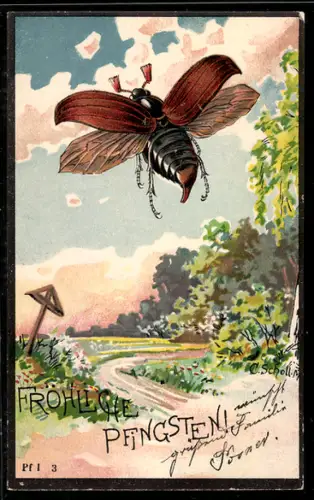 Präge-Lithographie Fliegender Maikäfer über einer Landstrasse im Frühling, Pfingstgruss