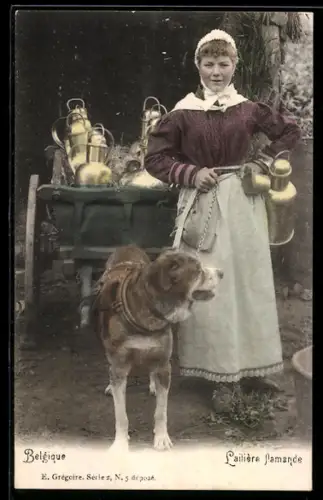 AK Belgique Laitière flamande